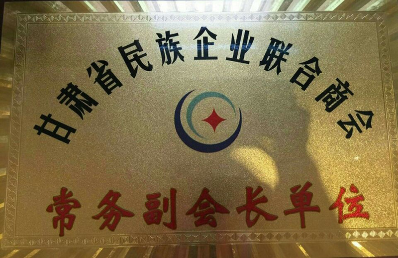 甘肃省民族企业联合商会常务副会长单位
